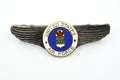 U.S. WWII Air Force Wings Badge Pin Medal Enamel