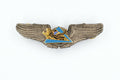 U.S. Air Force Wing WWII Flying Tigers American Volunteer Group Enamel Badge