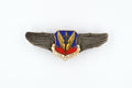 U.S. WWII Tactical Air Command Air Force Wings Badge Pin Medal Enamel