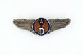 U.S. WWII WWII 10TH Air Force Wings Badge Pin Medal Enamel