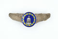 WWII WWII U.S. U.S. Air Force White House Wings Badge Pin Medal Enamel