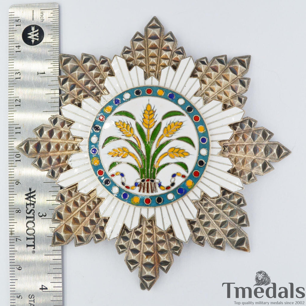 Republic of China the Order of the Golden Grain First Class Medal detail view 6