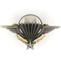 French Foreign Legion Army Parachute Badge Wings medal order WWII Full-Size reproduction