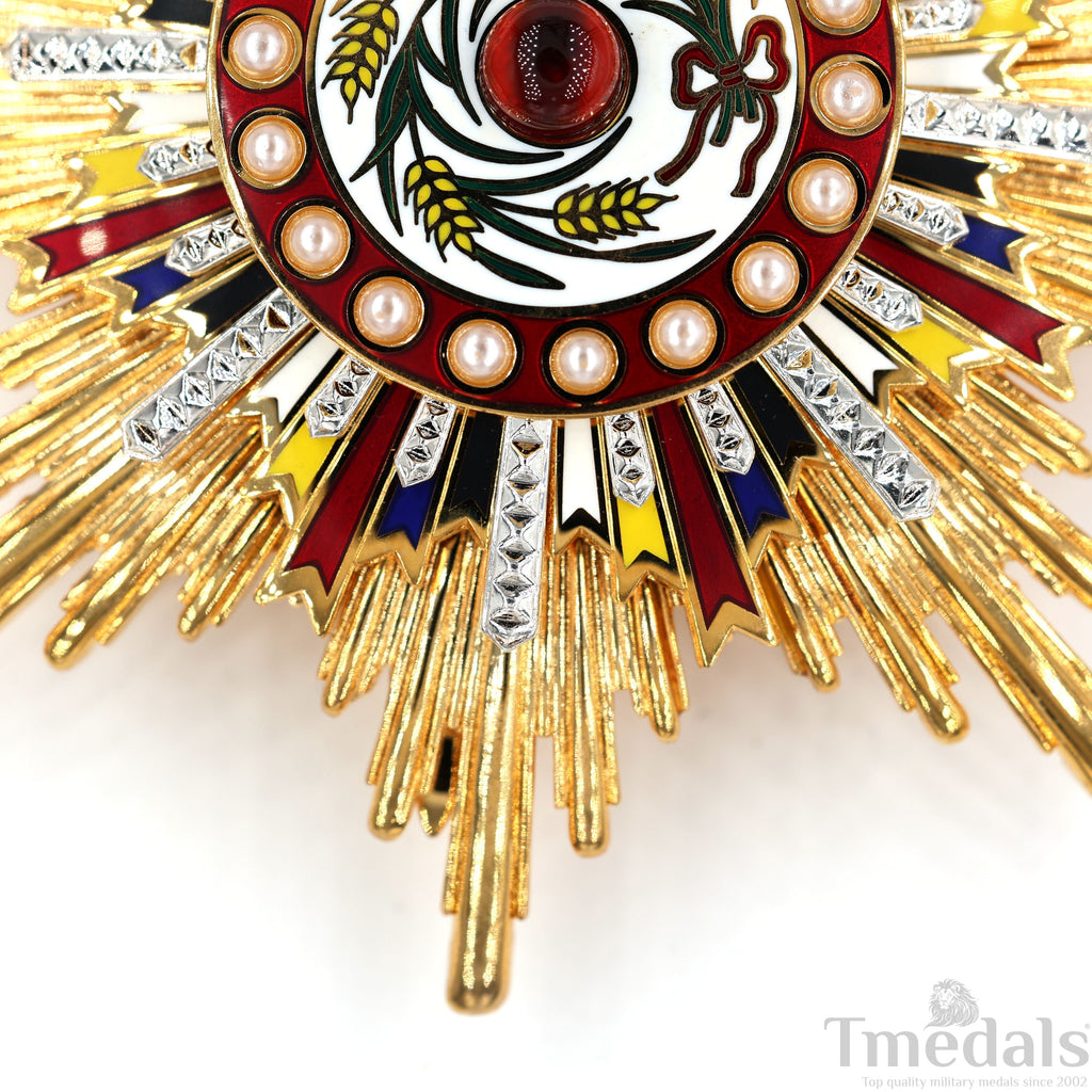 China Medal Order of the Precious Brilliant Golden Grain 2class grade breast star detail view 8