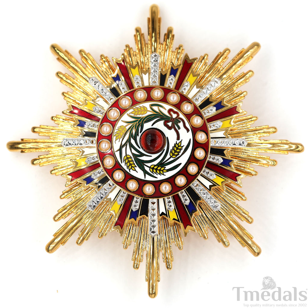 China Medal Order of the Precious Brilliant Golden Grain 2class grade breast star detail view 14