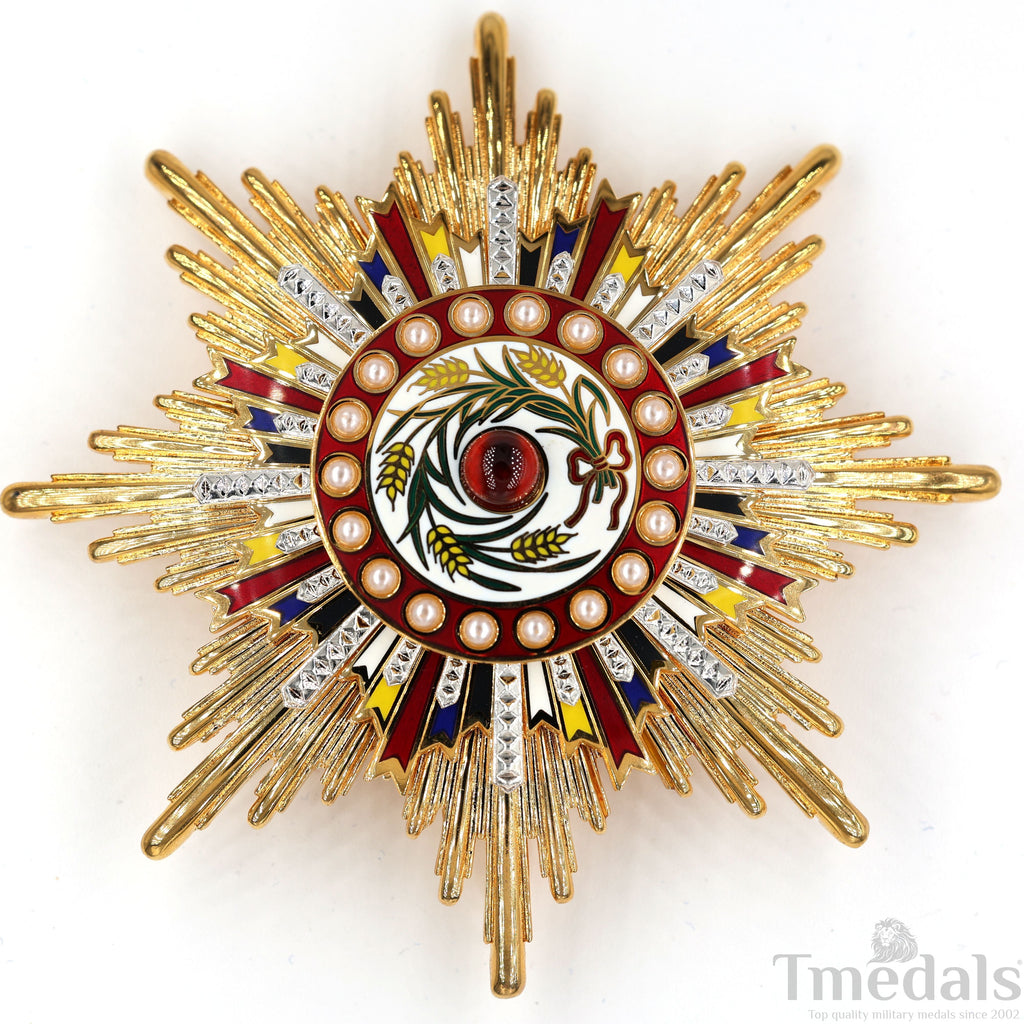 China Medal Order of the Precious Brilliant Golden Grain 2class grade breast star detail view 15