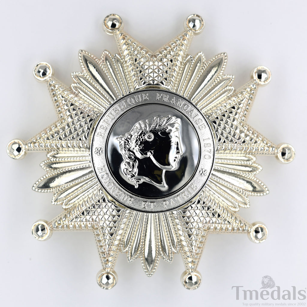 France French Legion of Honor Grand Cross Breast Star in Silver Medal Order detail view 8