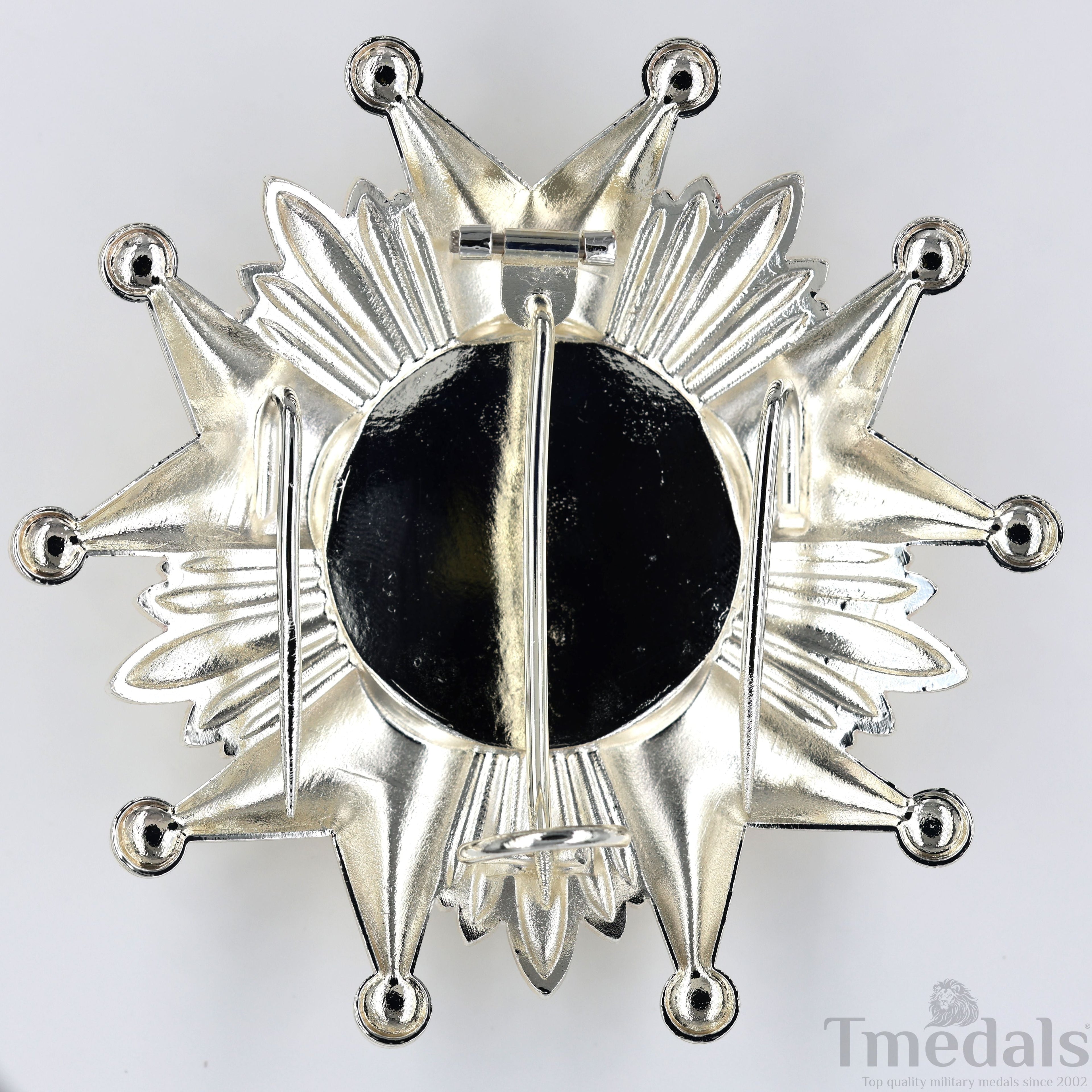 France French Legion of Honor Grand Cross Breast Star in Silver Medal Order detail view 17