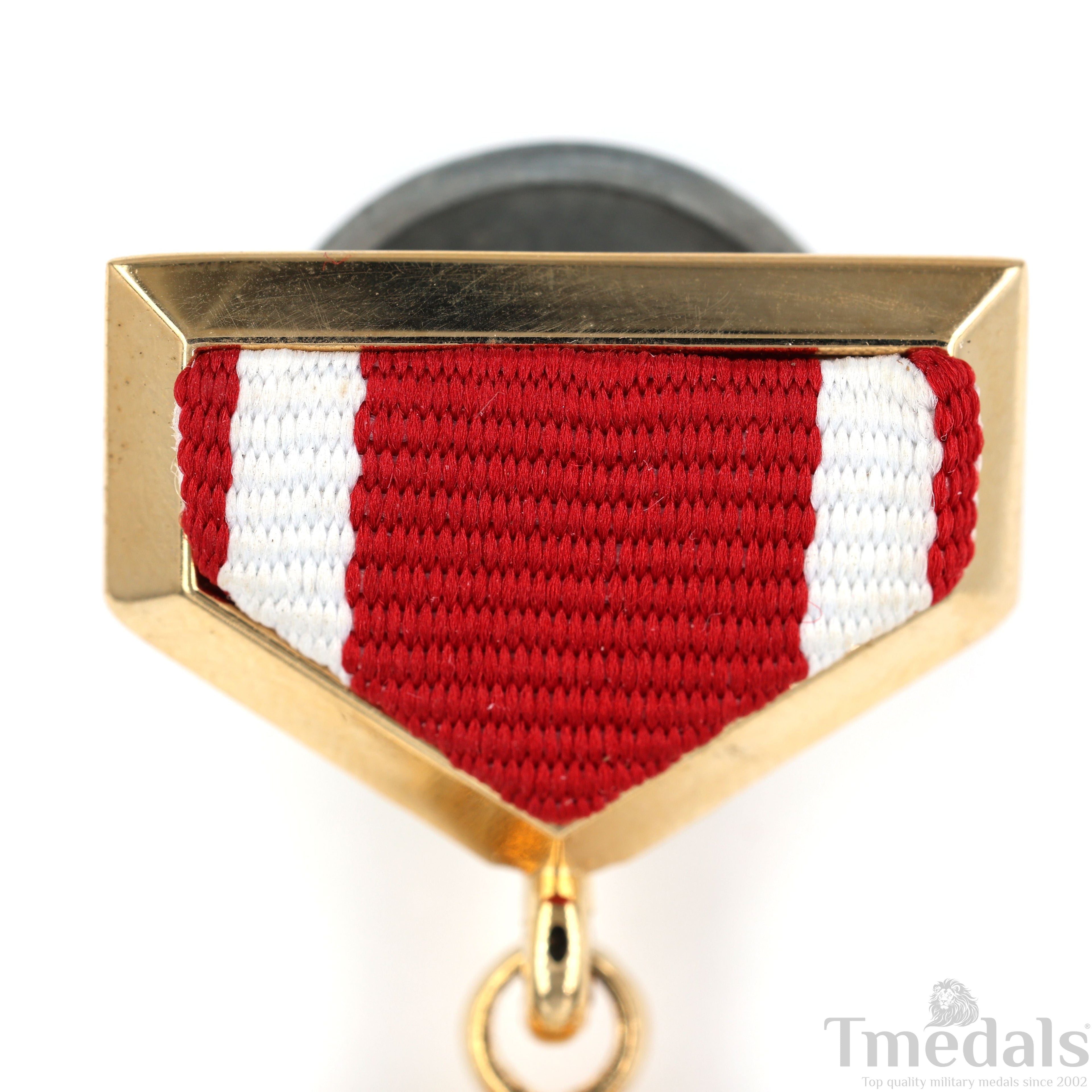 Hero of the Mongolian People's Republic CCCP Sovet Union Medal Order Russian detail view 5