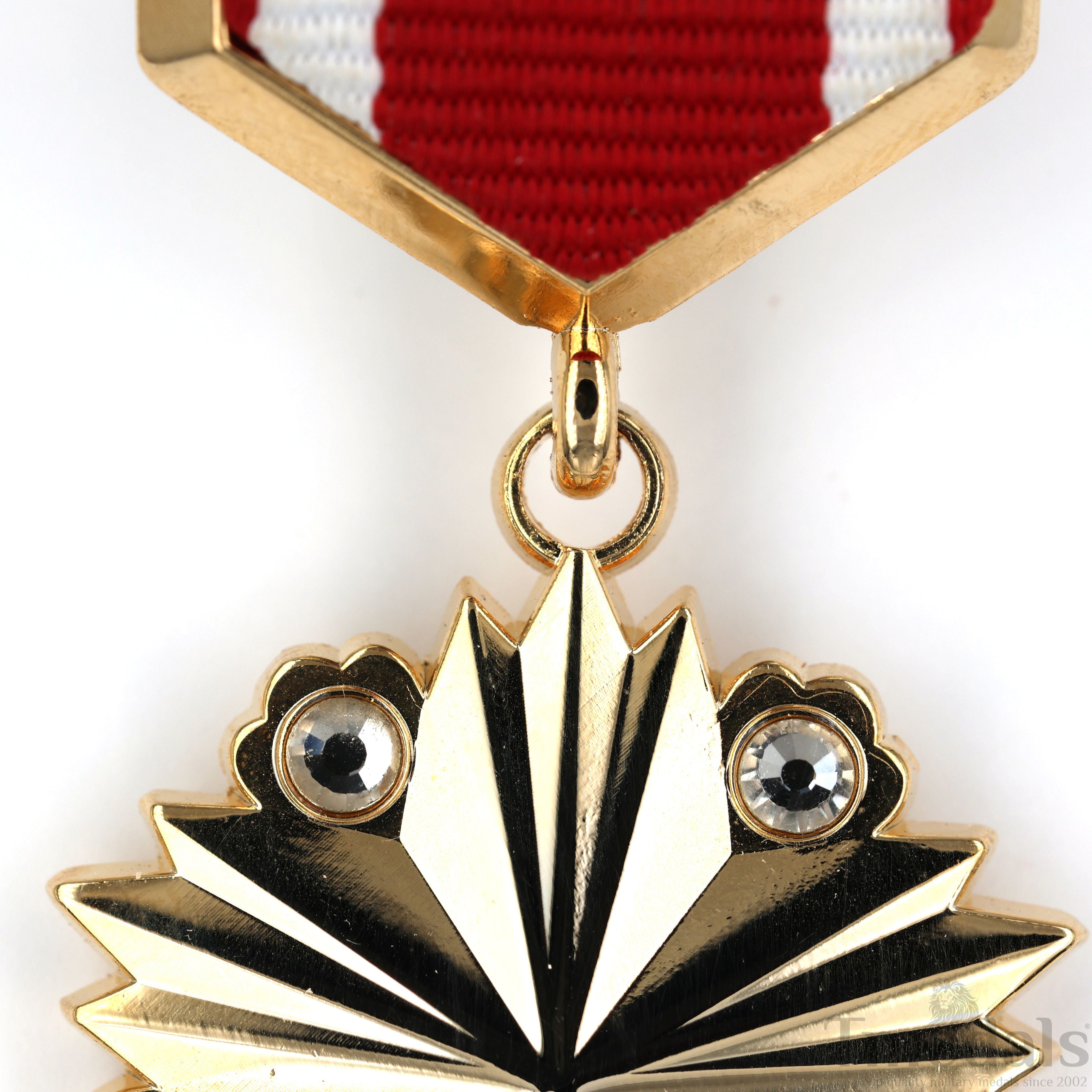 Hero of the Mongolian People's Republic CCCP Sovet Union Medal Order Russian detail view 6