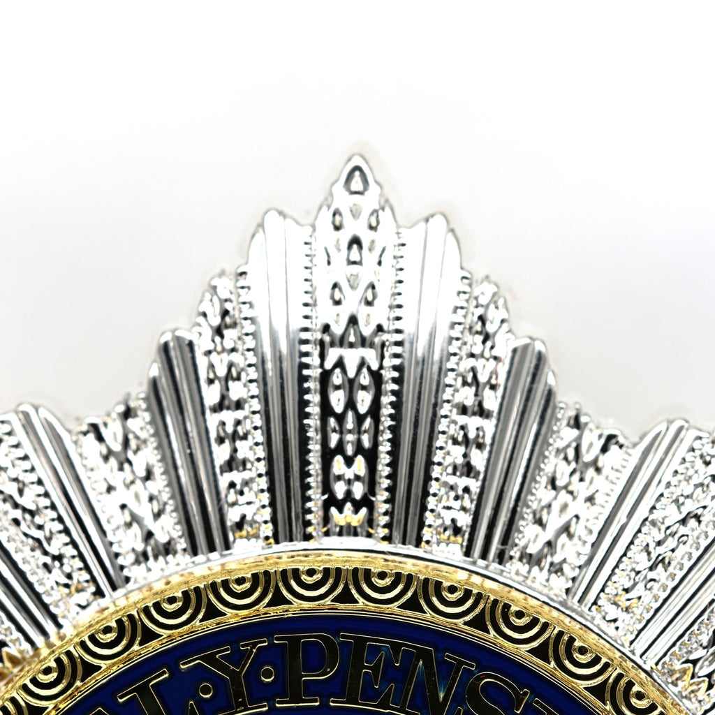British Royal Order of the Garter Star Badge Medal Order – Collectible detail view 12