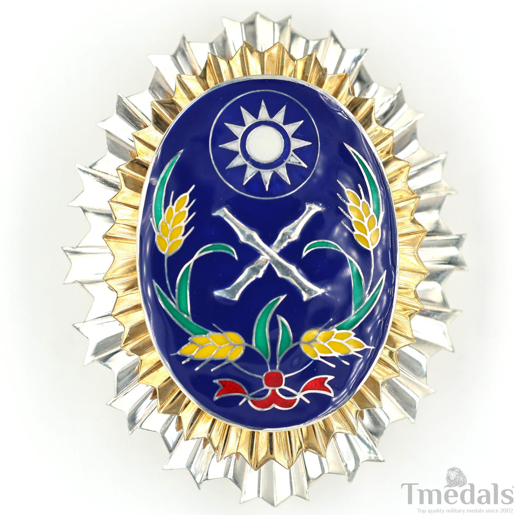 Republic of China Army Officer Academy Badge Pure Silver detail view 3