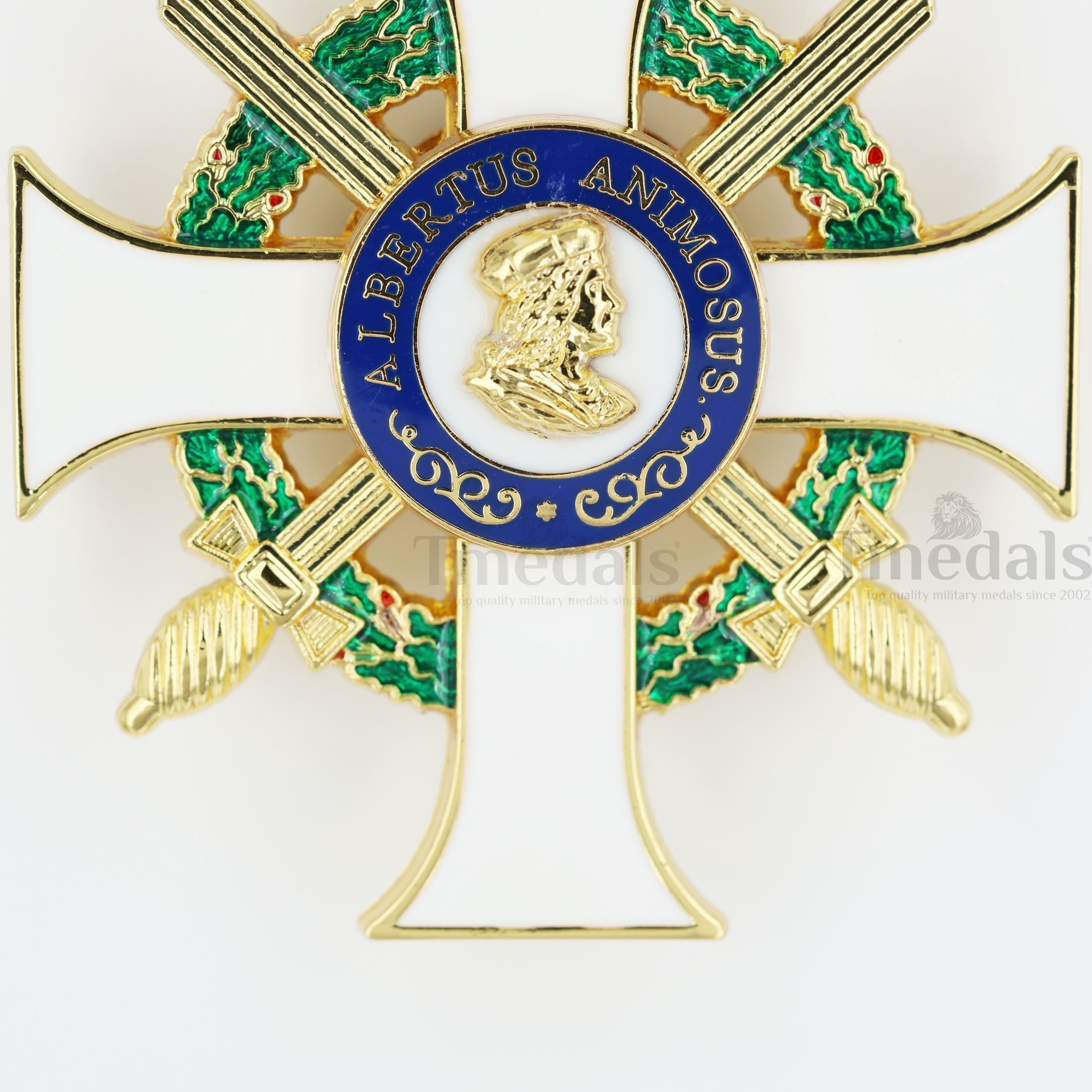 German Albert Order Knight 1st Class Medal Civil Division Type II 1850 detail view 13