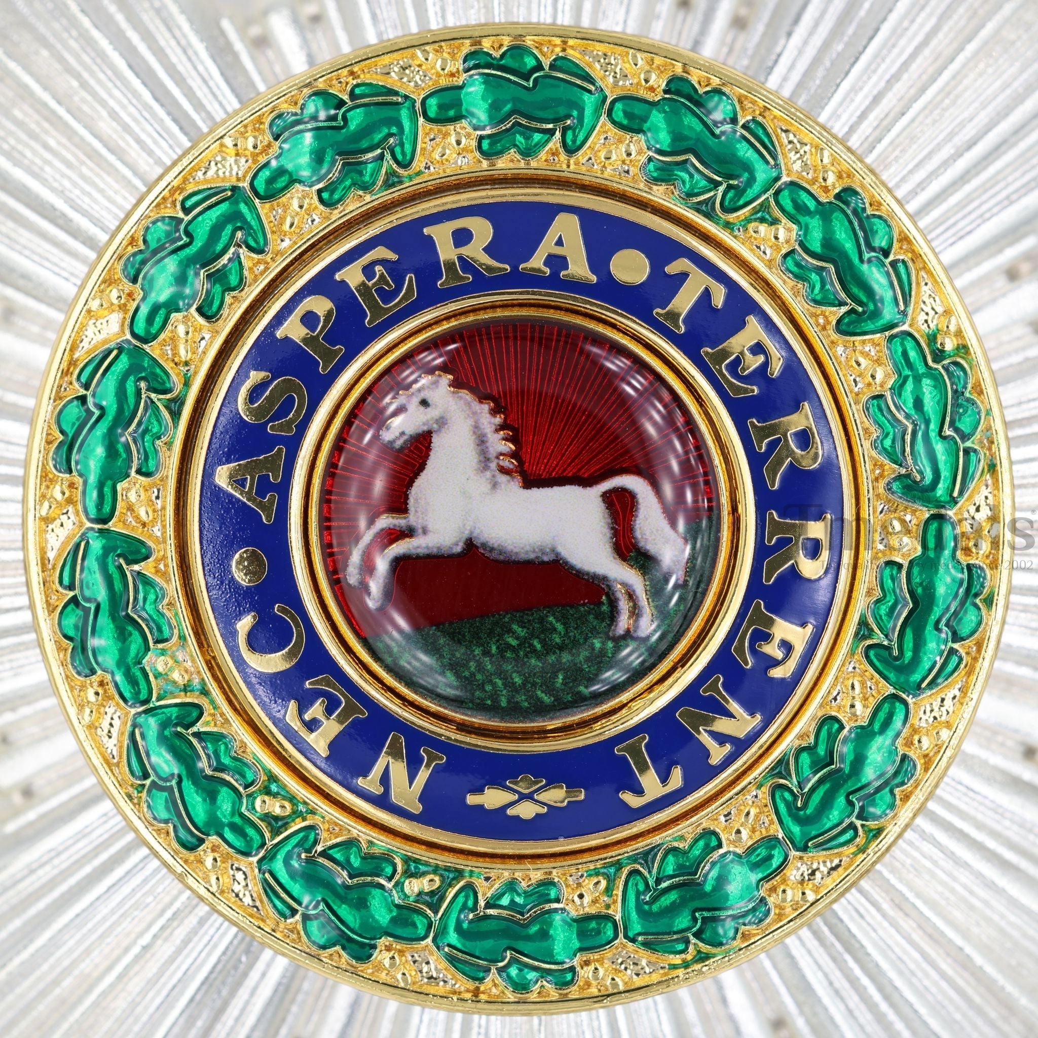 Royal Guelphic Order Breast Star detail view 2