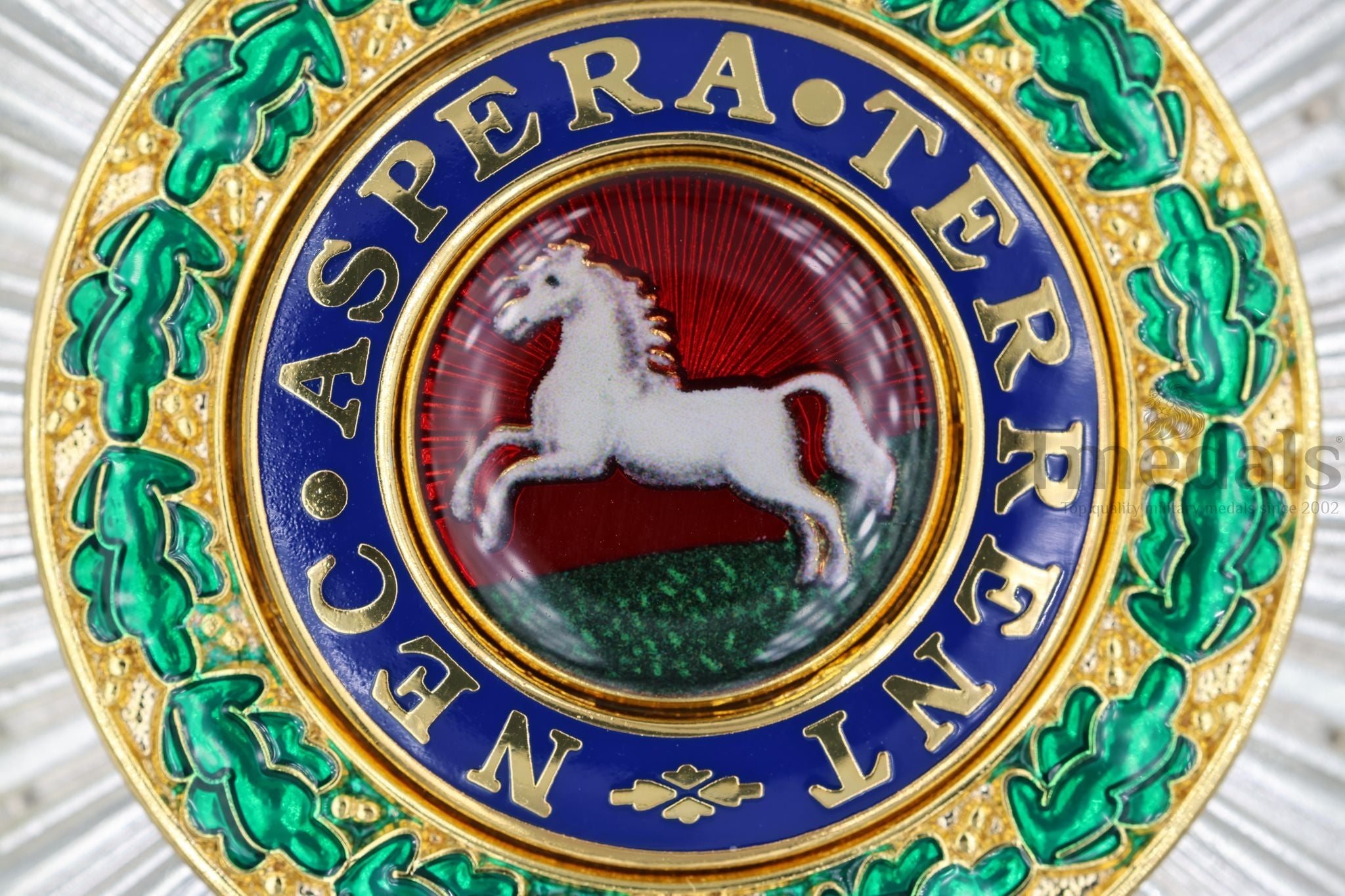 Royal Guelphic Order Breast Star detail view 5