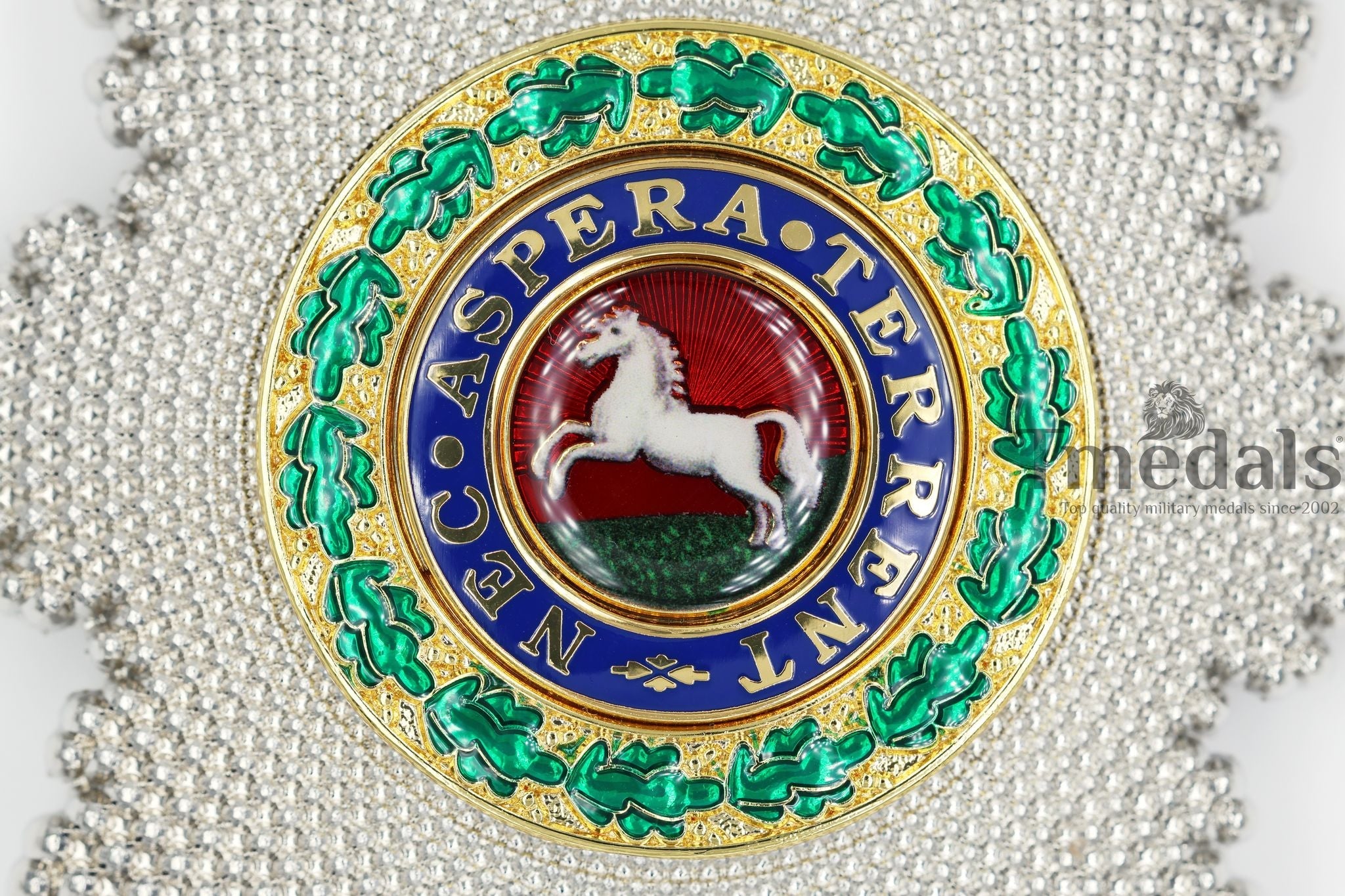 Royal Guelphic Order Breast Star – Enamel Medal with Pin detail view 2