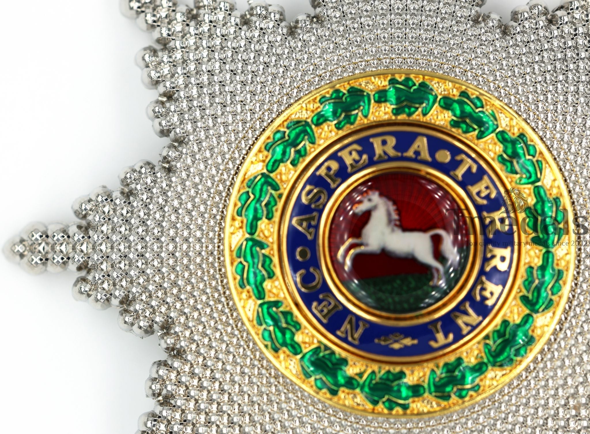 Royal Guelphic Order Breast Star – Enamel Medal with Pin detail view 7
