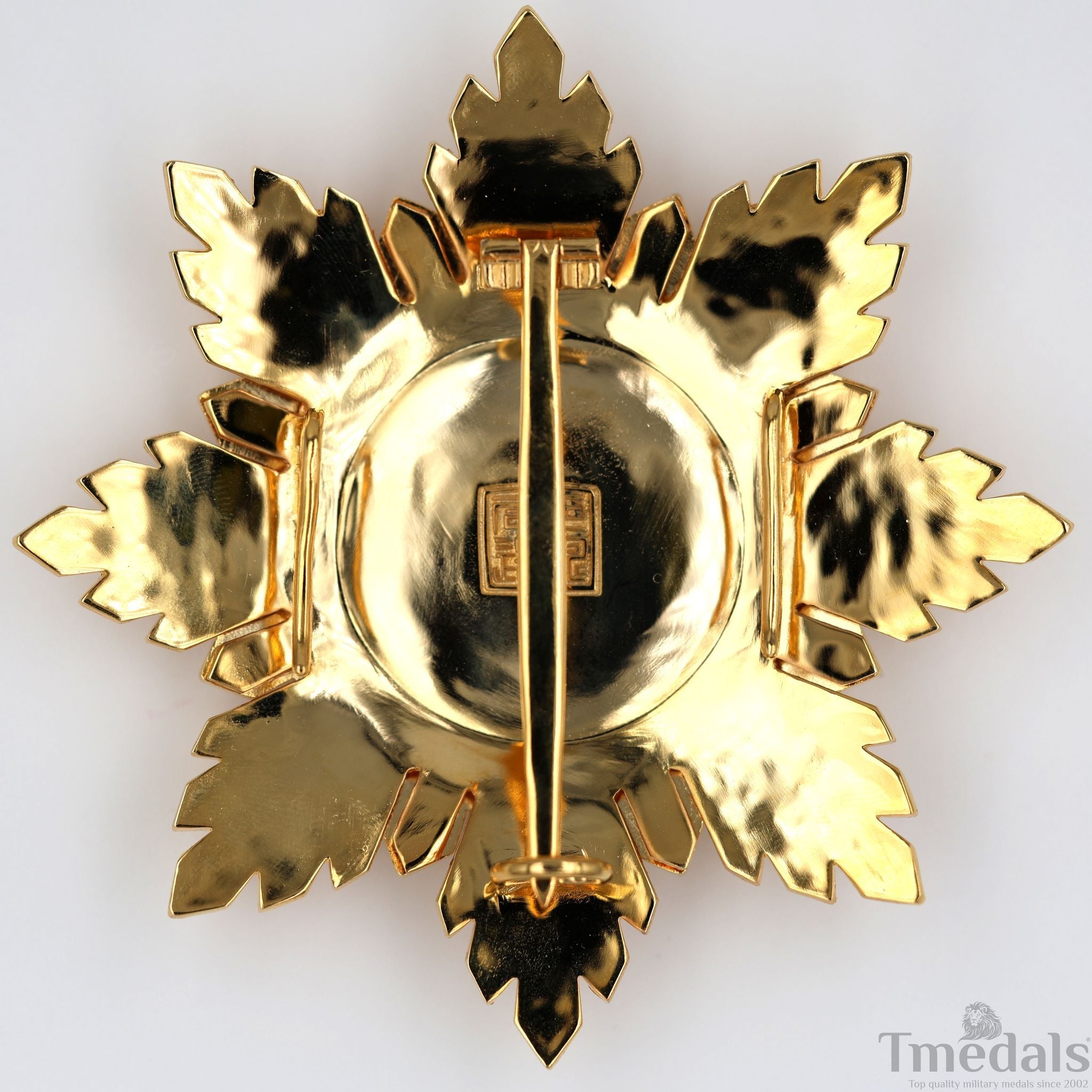 Republic of China Qing Dynasty Order of the blue dragon 青龍勛章 Brest Star detail view 2