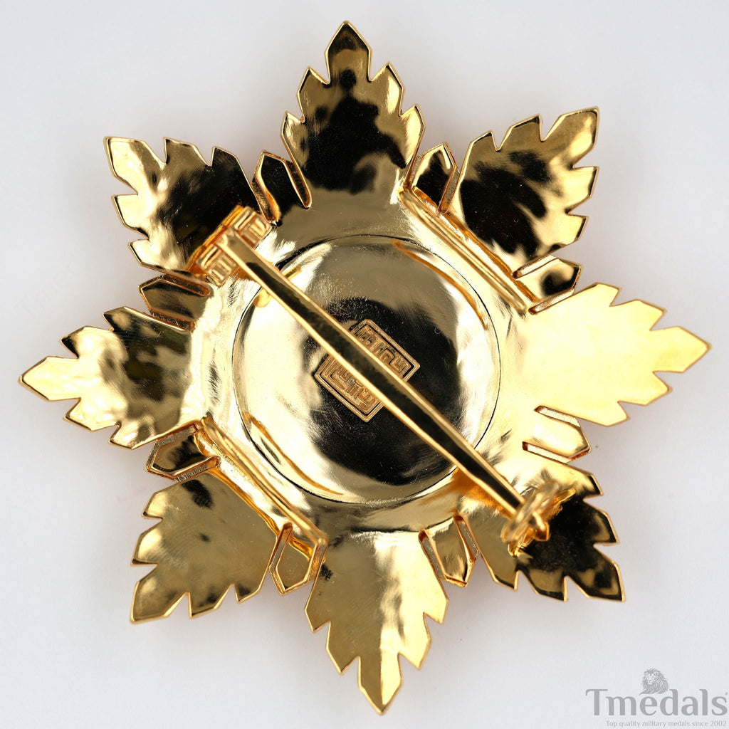 Republic of China Qing Dynasty Order of the blue dragon 青龍勛章 Brest Star detail view 5