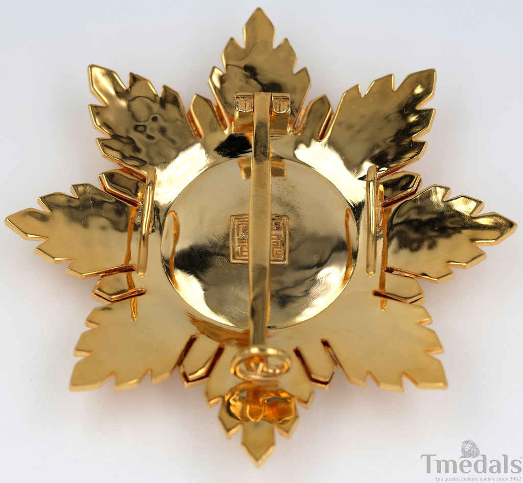Republic of China Qing Dynasty Order of the blue dragon 青龍勛章 Brest Star detail view 11