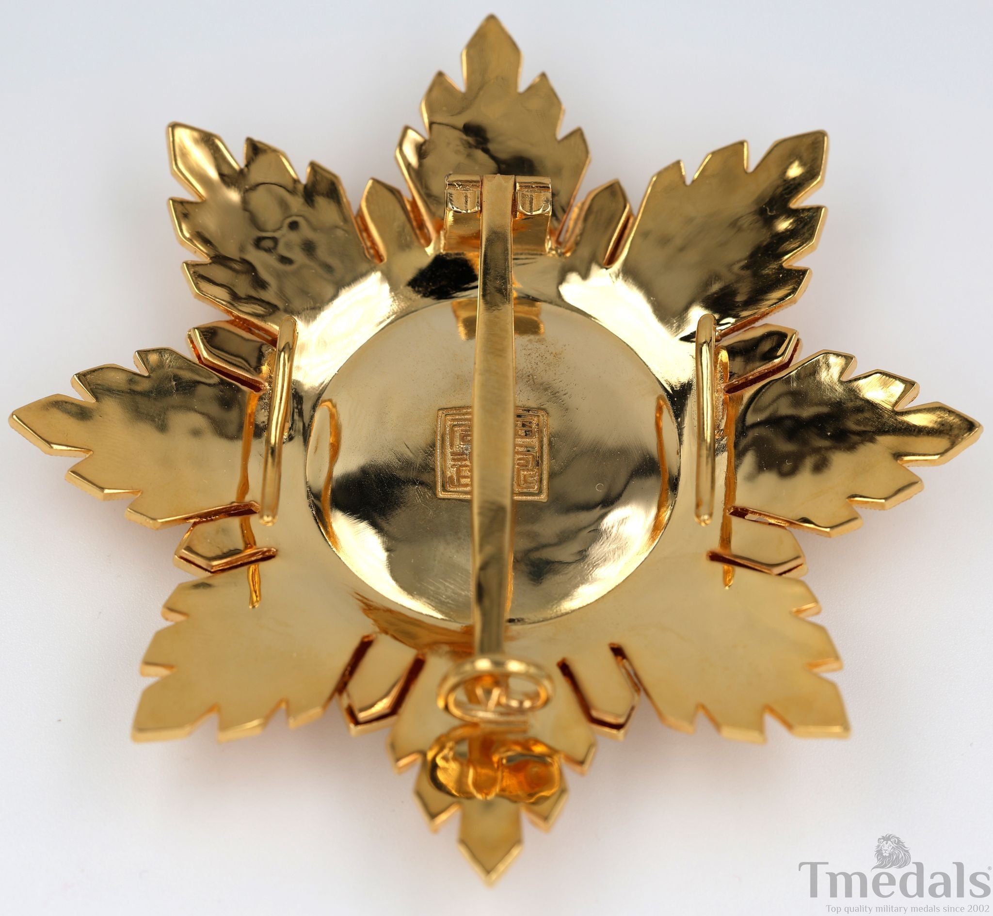Republic of China Qing Dynasty Order of the blue dragon 青龍勛章 Brest Star detail view 11