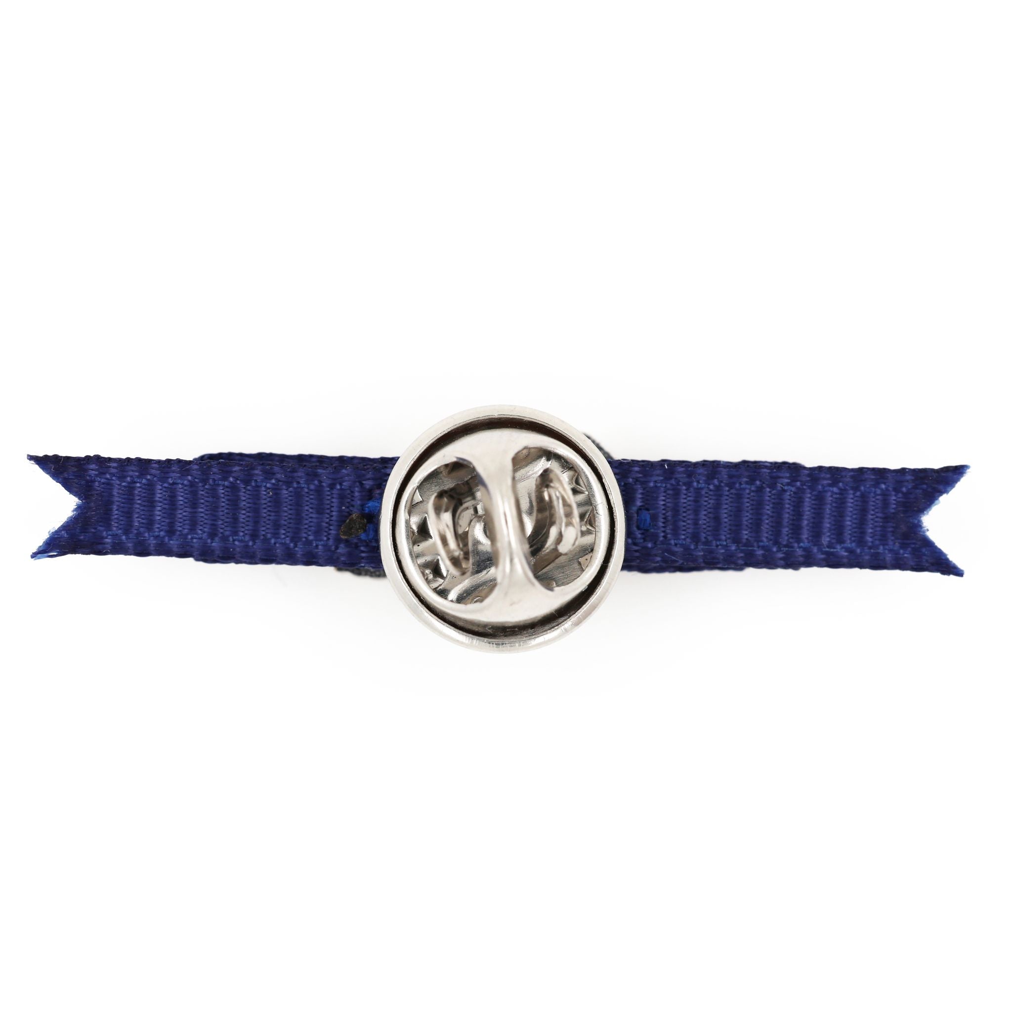 U.S. Presidential Medal of Freedom Female Version Lapel Pin detail view 2