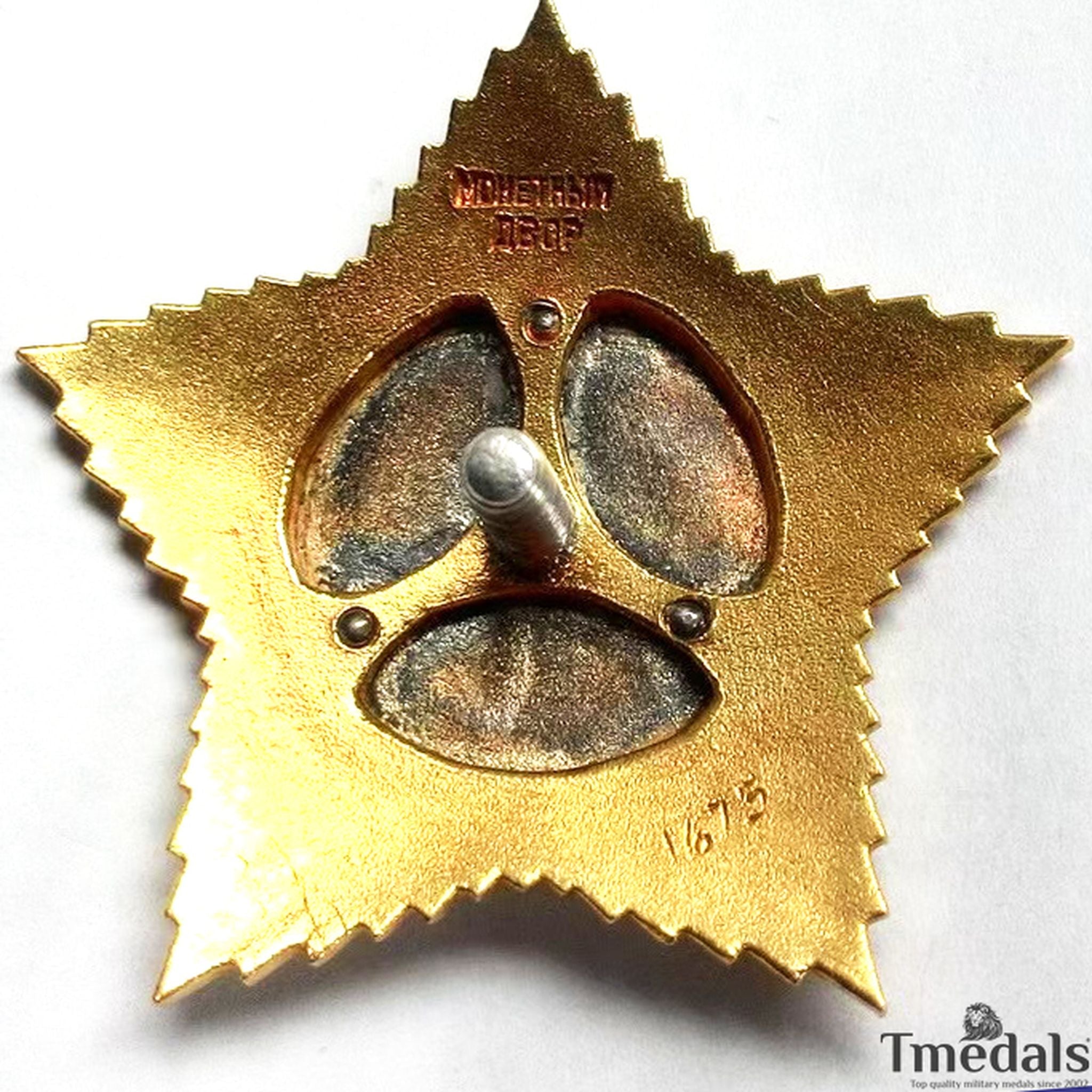 Soviet Order of Suvorov 2nd Class Medal 925 Silver 24K Gilt Enamel detail view 2