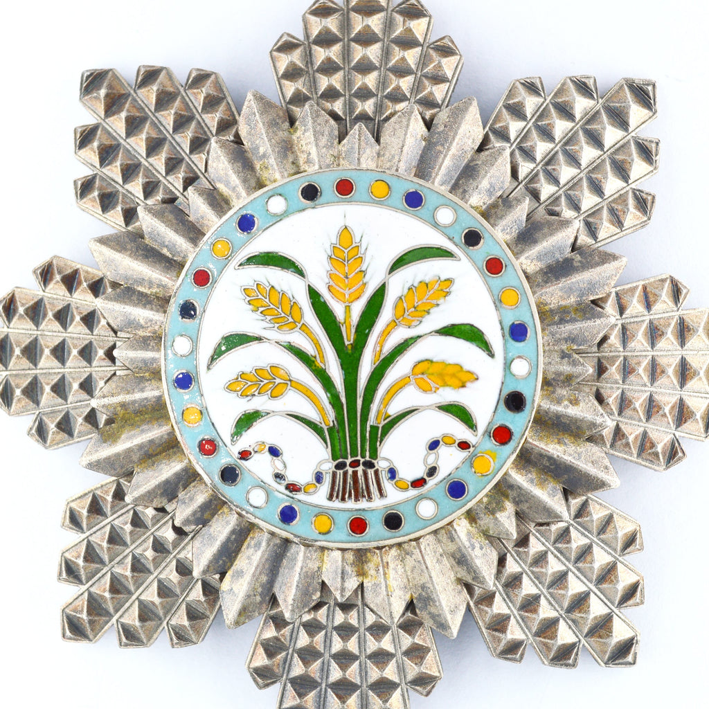 Republic of China, the Order of the Golden Grain, Second Class, Breast star detail view 8