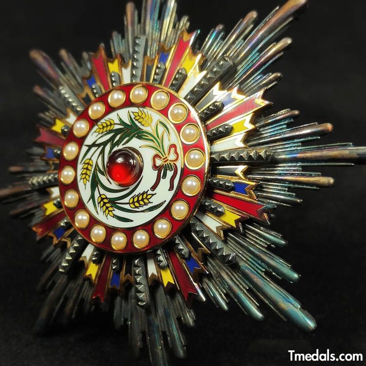 China Medal Order of the Precious Brilliant Golden Grain 2class grade breast star detail view 3