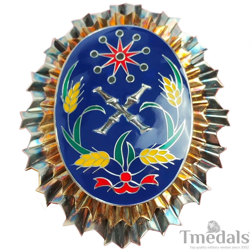 Republic of China Army Officer Academy Badge Warlord Era Sterling Silver reproduction
