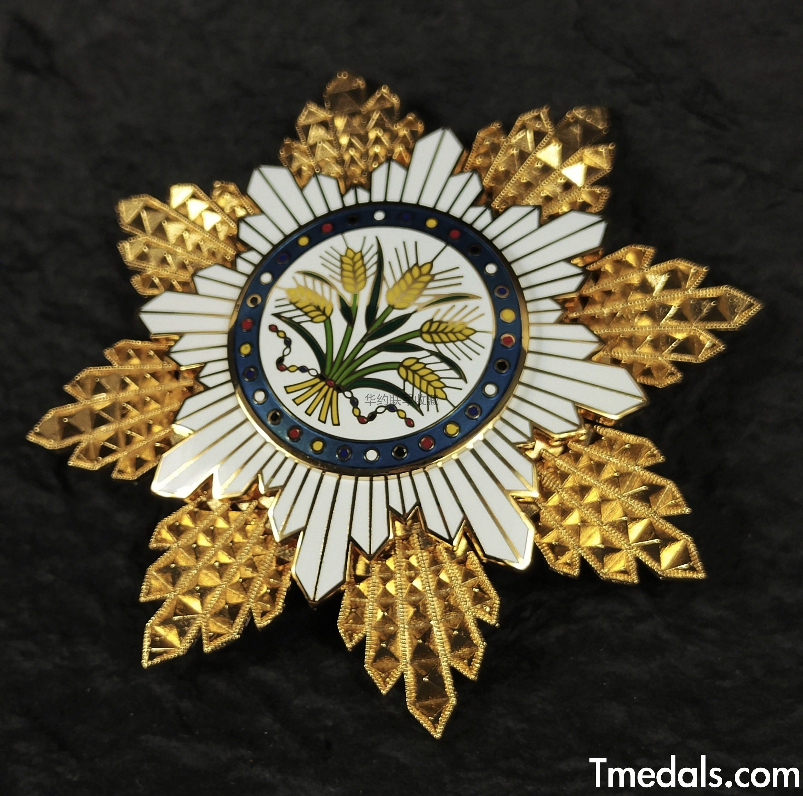 Republic of China, the Order of the Golden Grain, First Class, Breast star detail view 2