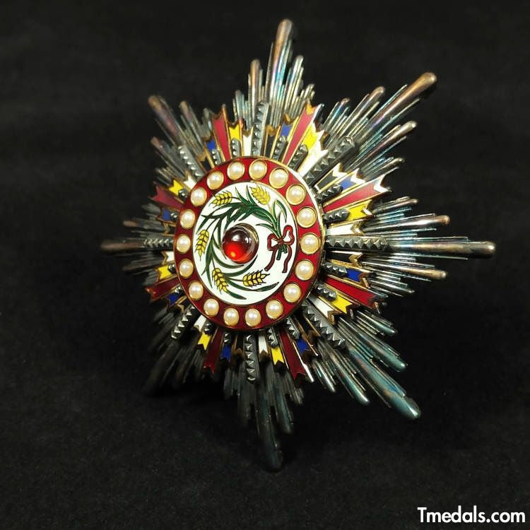 China Medal Order of the Precious Brilliant Golden Grain 2class grade breast star detail view 5