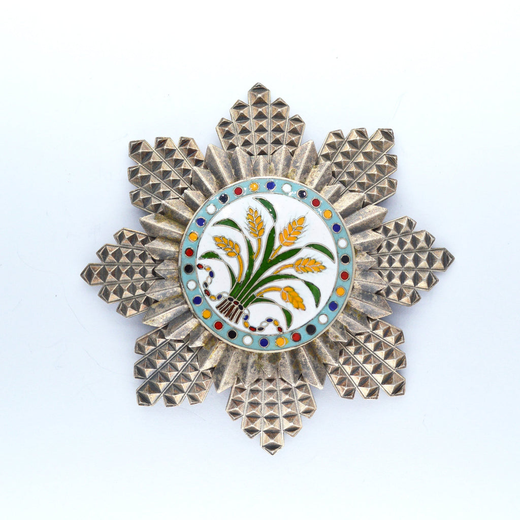 Republic of China, the Order of the Golden Grain, Second Class, Breast star detail view 5