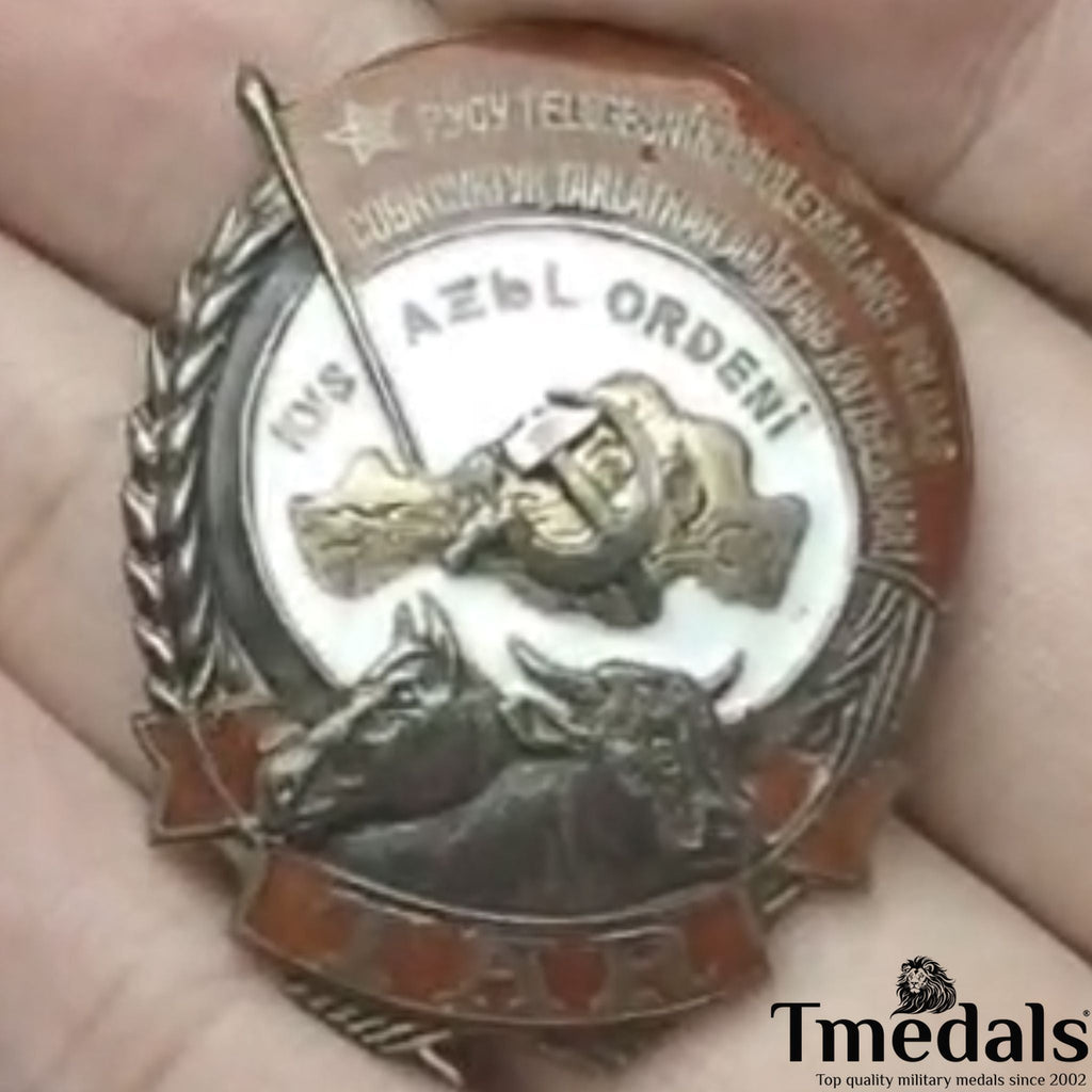 Order of Labor of the Tuvan - 925 Silver - Real Enamel Soviet Medal detail view 3