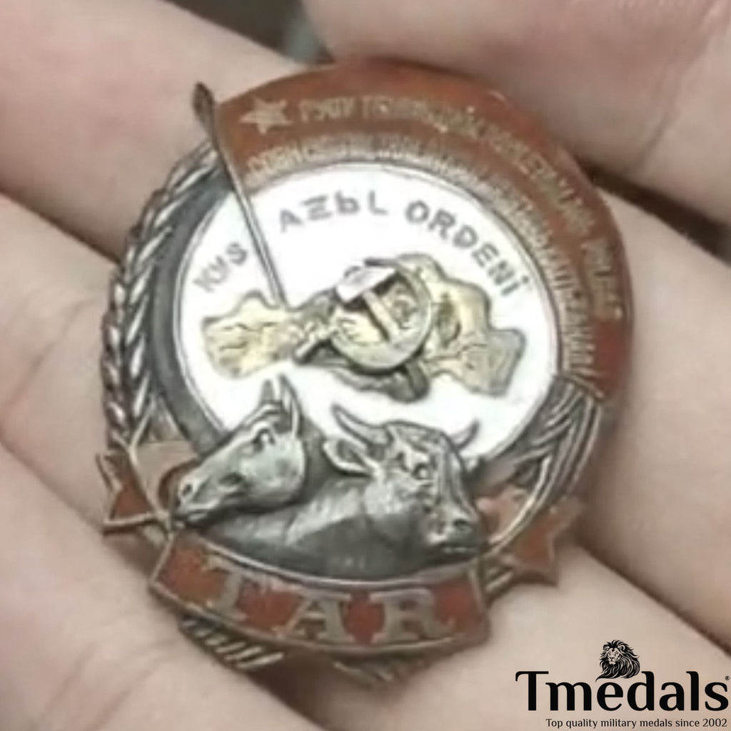 Order of Labor of the Tuvan - 925 Silver - Real Enamel Soviet Medal detail view 4