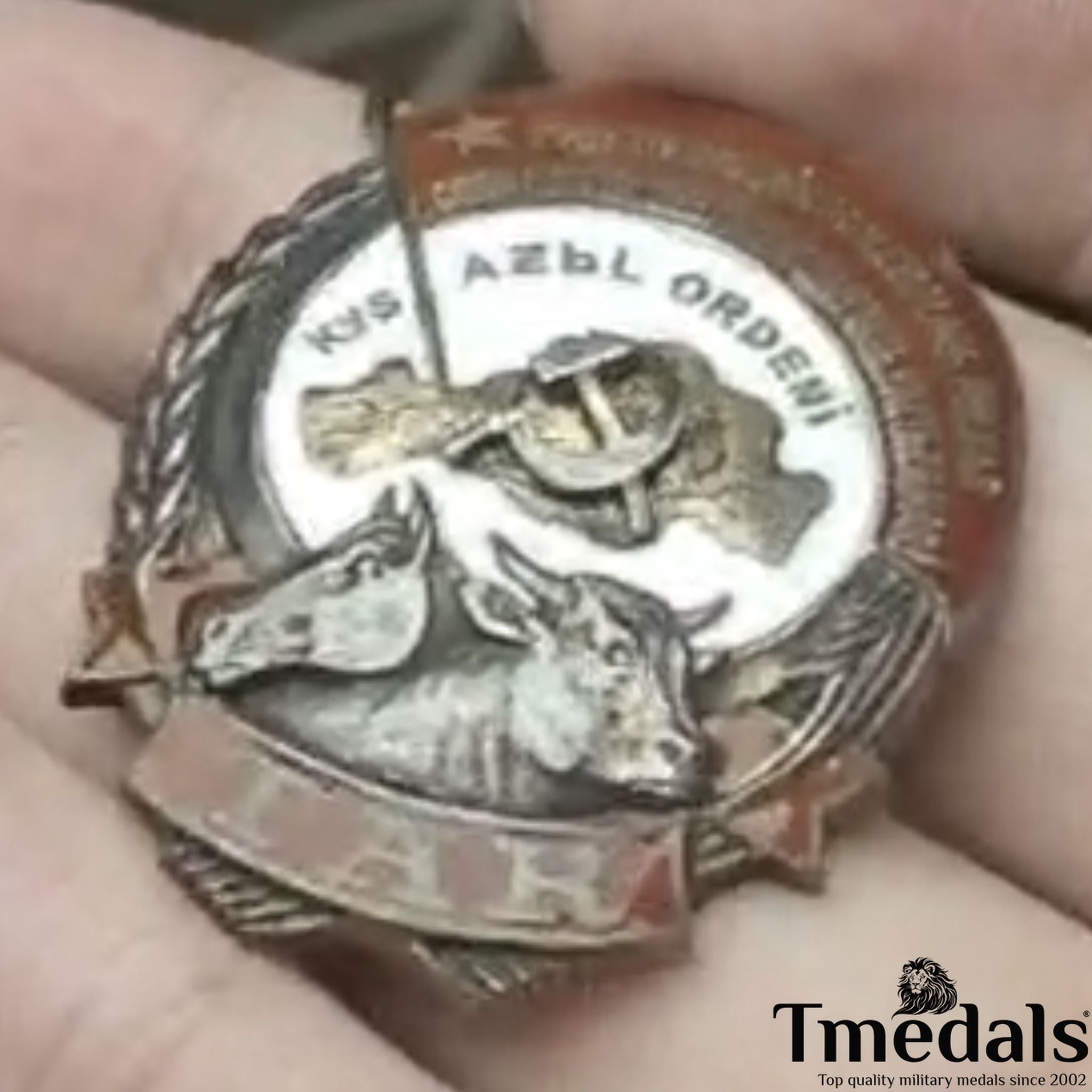 Order of Labor of the Tuvan - 925 Silver - Real Enamel Soviet Medal detail view 5