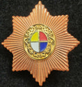 Chinese Qing Imperial Guard Cap Badge – 8-Point Star Roundel reproduction