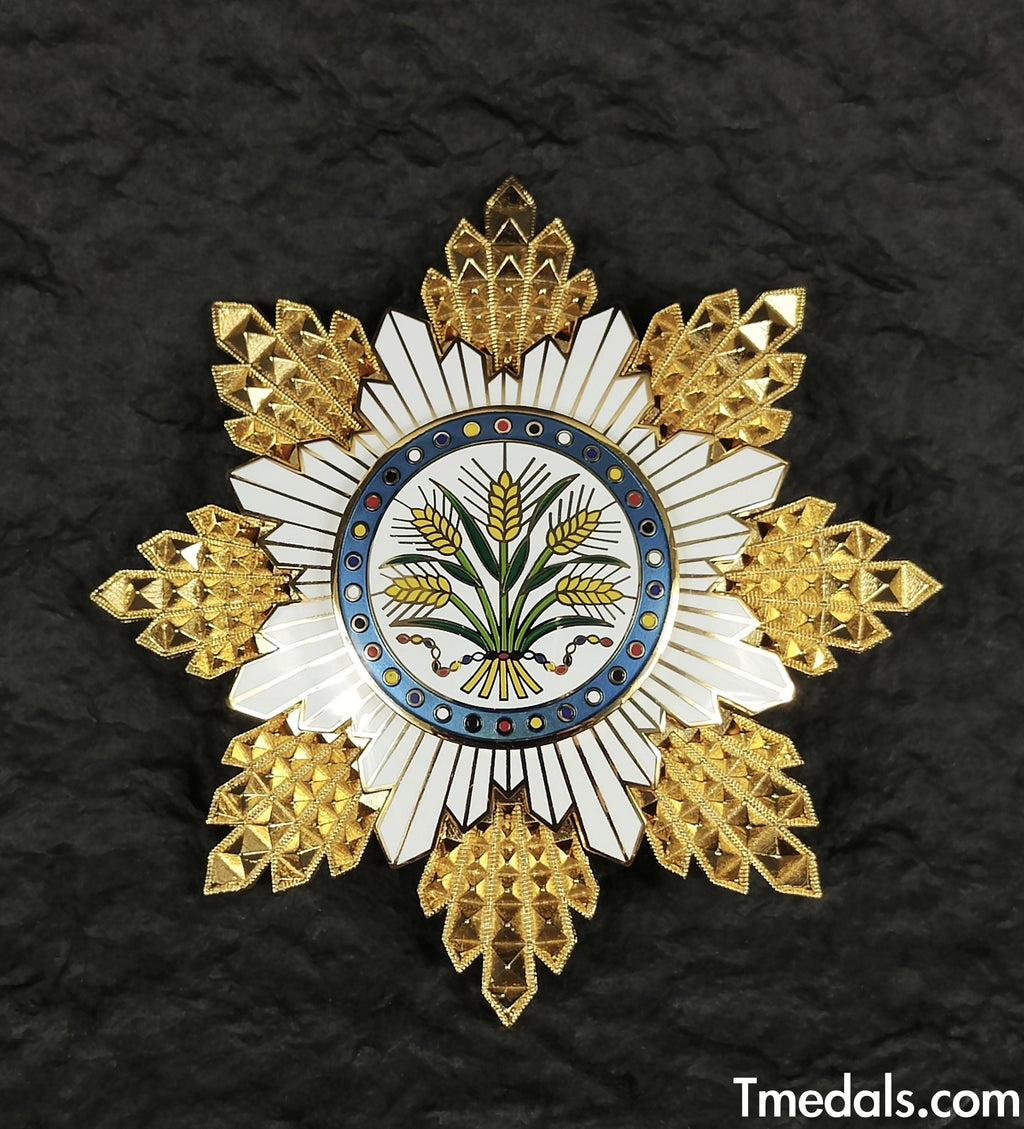 Republic of China, the Order of the Golden Grain, First Class, Breast star detail view 6