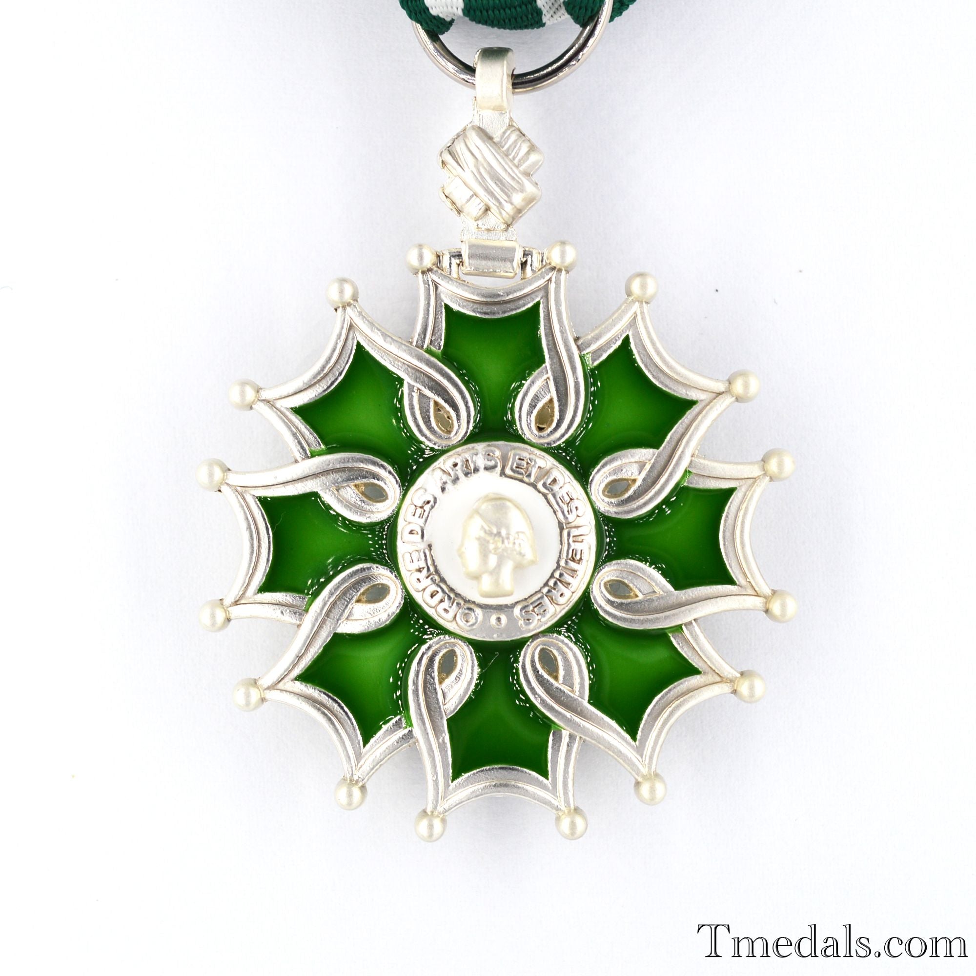 France French Order of the Arts and the Letters Knight degree detail view 3
