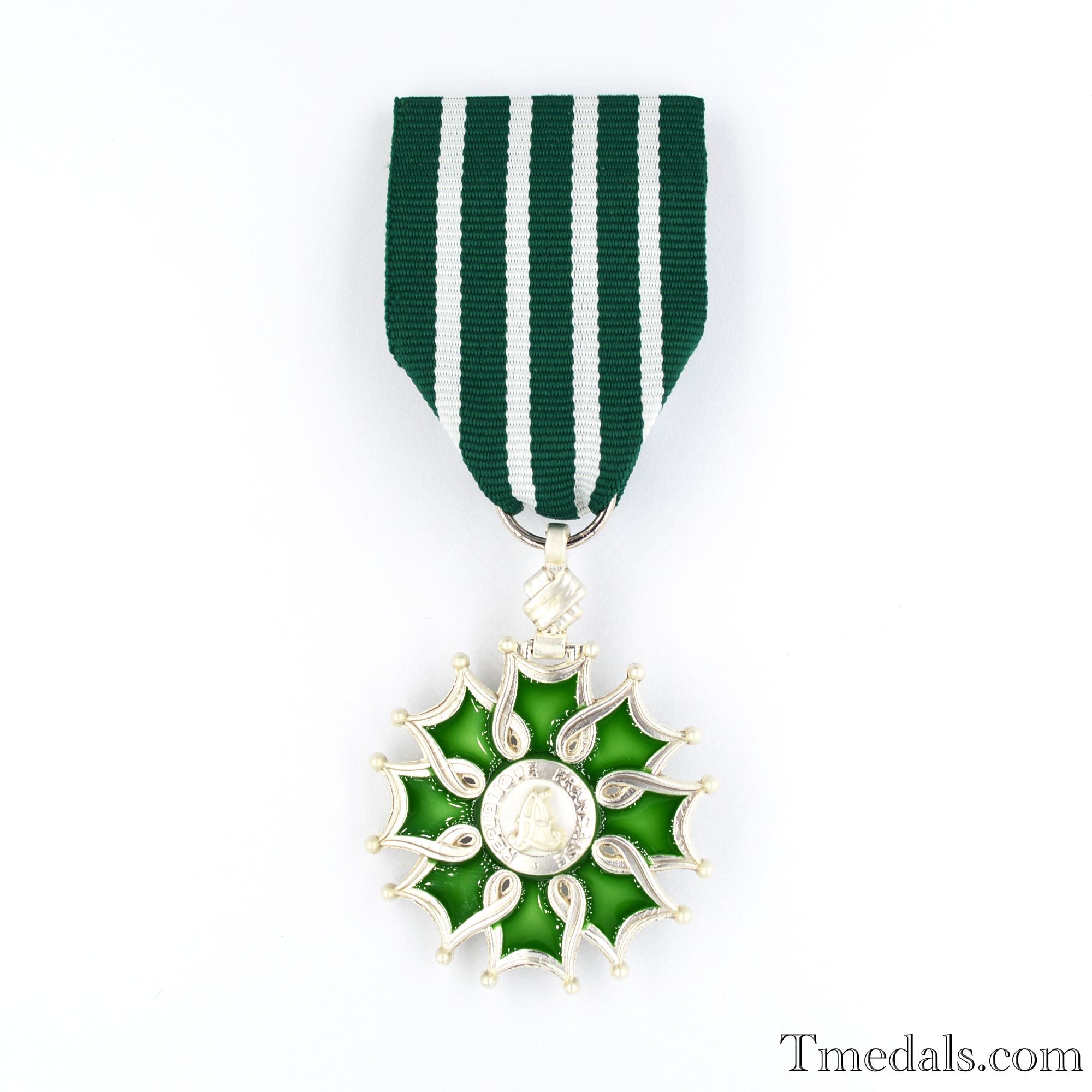 France French Order of the Arts and the Letters Knight degree detail view 5