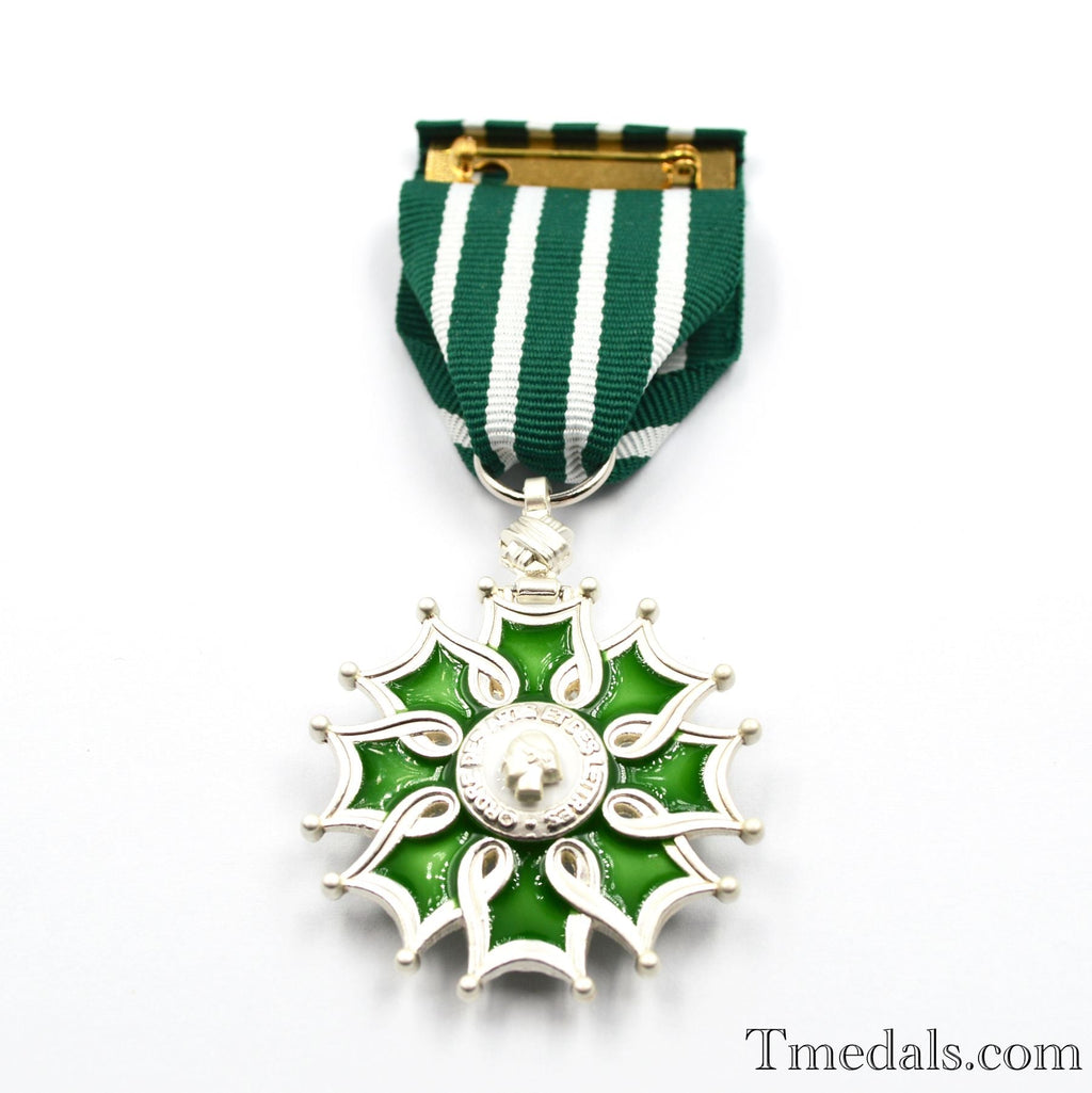 France French Order of the Arts and the Letters Knight degree detail view 7