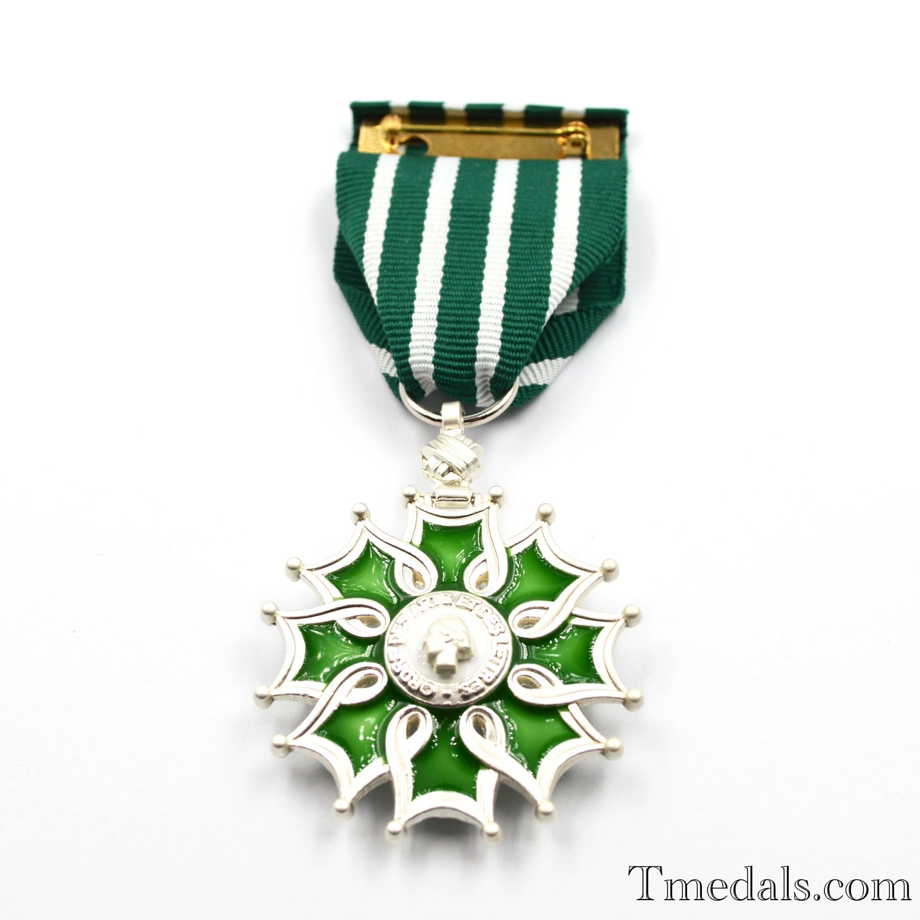 France French Order of the Arts and the Letters Knight degree detail view 7
