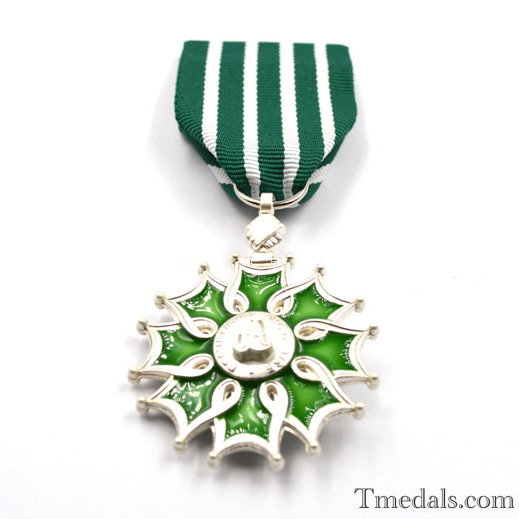 France French Order of the Arts and the Letters Knight degree detail view 8