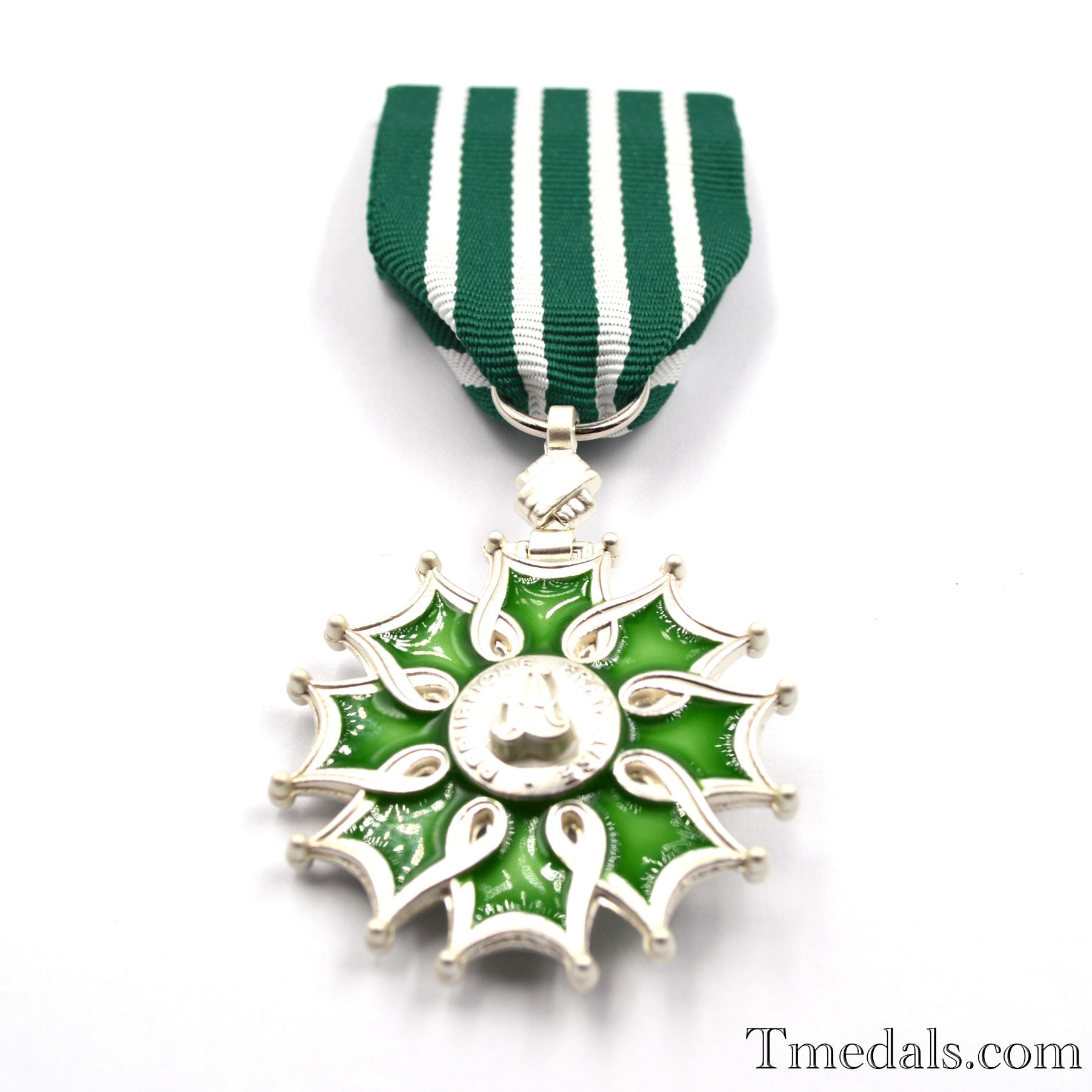 France French Order of the Arts and the Letters Knight degree detail view 8