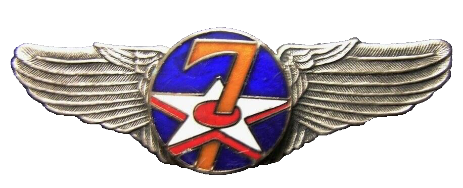 WWII WWII U.S. Army 7th Air Force Wings Badge Pin Medal real Enamel